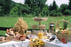 Fru-hstu-cksbuffet-im-Garten